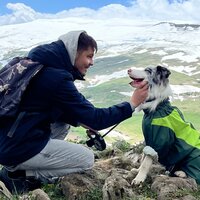 Александр Колесник