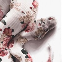 Александра Шмитько