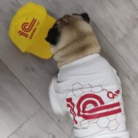 Виталий Дербишер