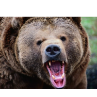 Александр М