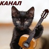 Екатерина Суркова