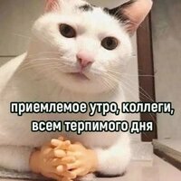 Анна Перова