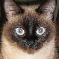 И почему я не удивлена...