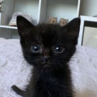 Анастасия Ципина