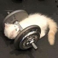 Ярик Бутузов