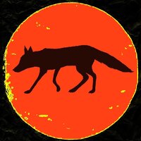 Максим Сорокин