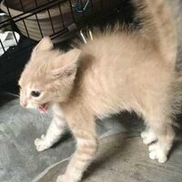 Наталия Захарова