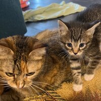 Зоя Гаврилова