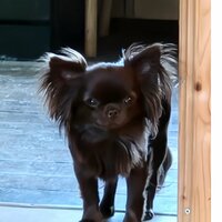 Юлия Тархова