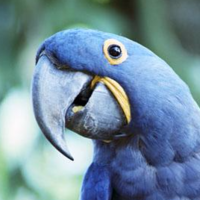 Московская Tati