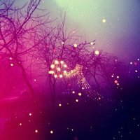 Алёна Григорьева