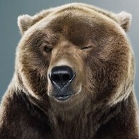 Алексей Рыжков