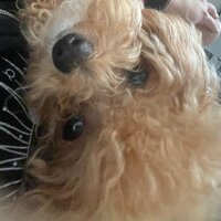 Валерия Пономарева