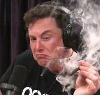 Денис Семеновых