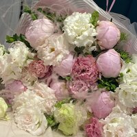 Анна Орлова