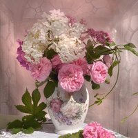 Солошенко Ксения