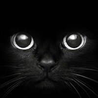 Валентин Шатов