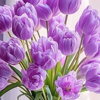 Лина Моисеева