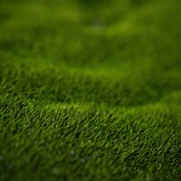 Вика и Лёня