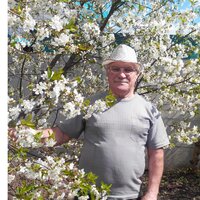 Виктор Дмитрович Росновский