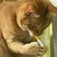 Евгения Намикадзе