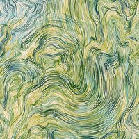 Щербакова Полина Юрьевна