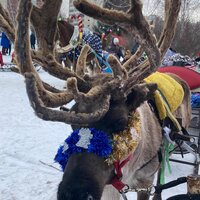 Эльдар Эсенов