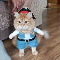 Валентин У.