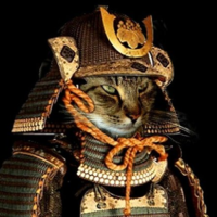 Владимир Моисеенко