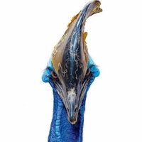 Павел Скворцов