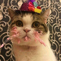 Анна Корнеева