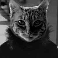 Николай Куприянов