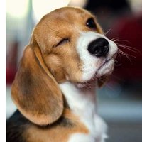 Юля Климова