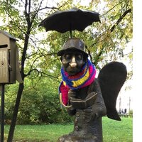 Светлана Шевченко