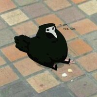 Алина Синицина