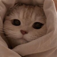 Назарова Эмма