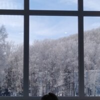 Александра Котликова