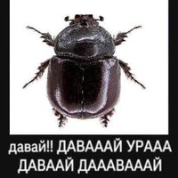 Карина Кожевникова