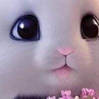 Ольга Штиль