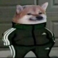 илья кукшин