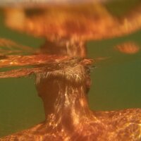 Вадим Веденеев