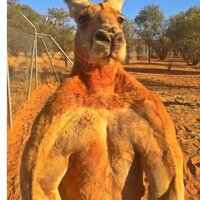 Влад Кадмиеев