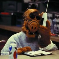 Анастасия Д.