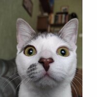 Ксения Сергеевна