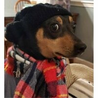 Елизавета Макаренко