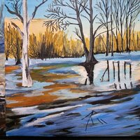 Анастасия Петрова