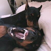 Екатерина О.