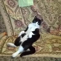 Пионер беZ причастия