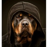 Александр Н.