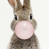 Елена Чудесникова